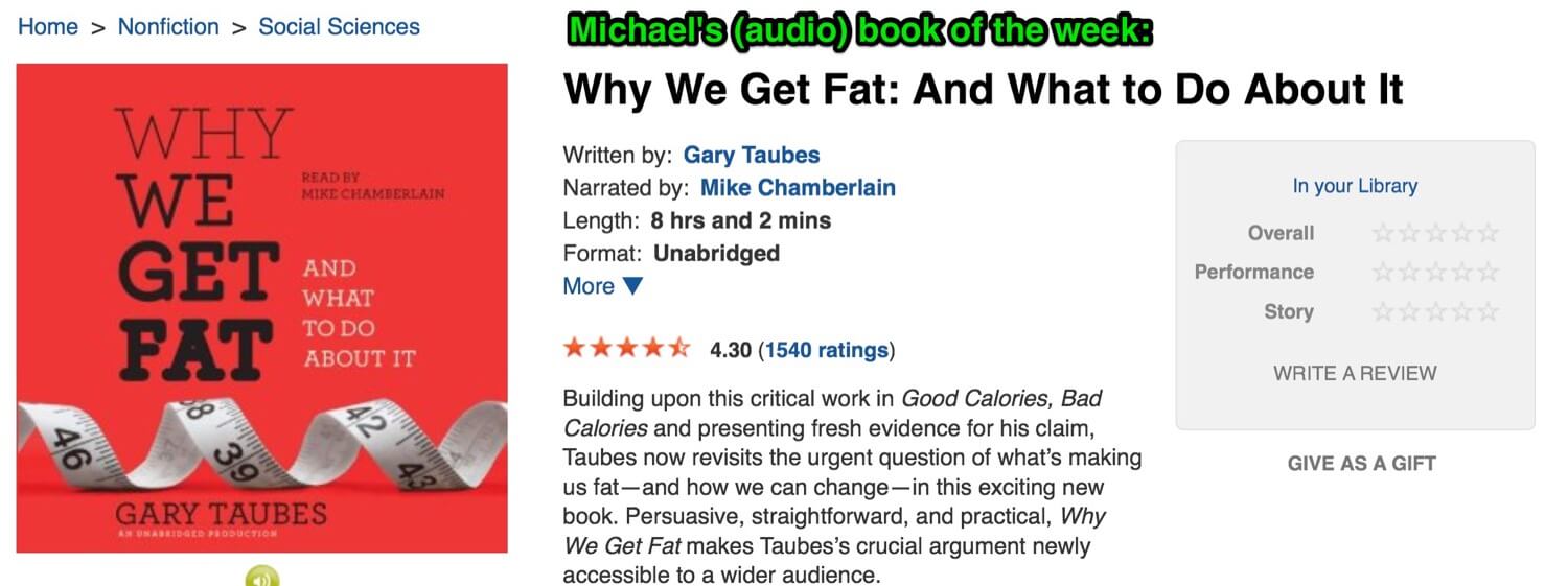 gary taubes why we get fat summary