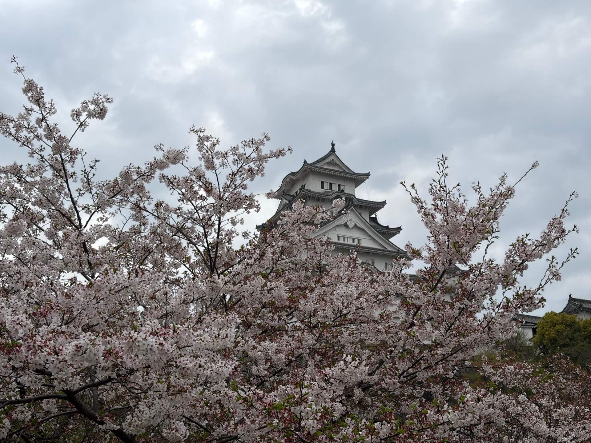 Is Japanese better? Technology, culture, perfection… castle