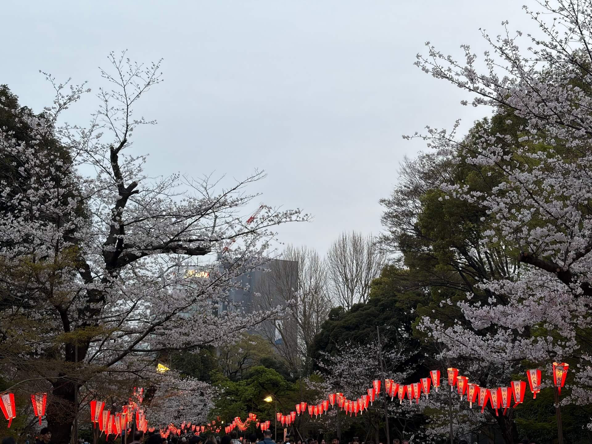 Is Japanese better? Technology, culture, perfection… cherry