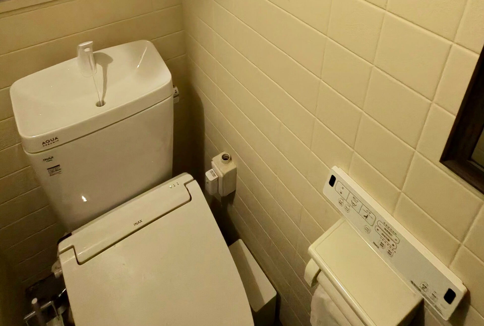Is Japanese better? Technology, culture, perfection… water