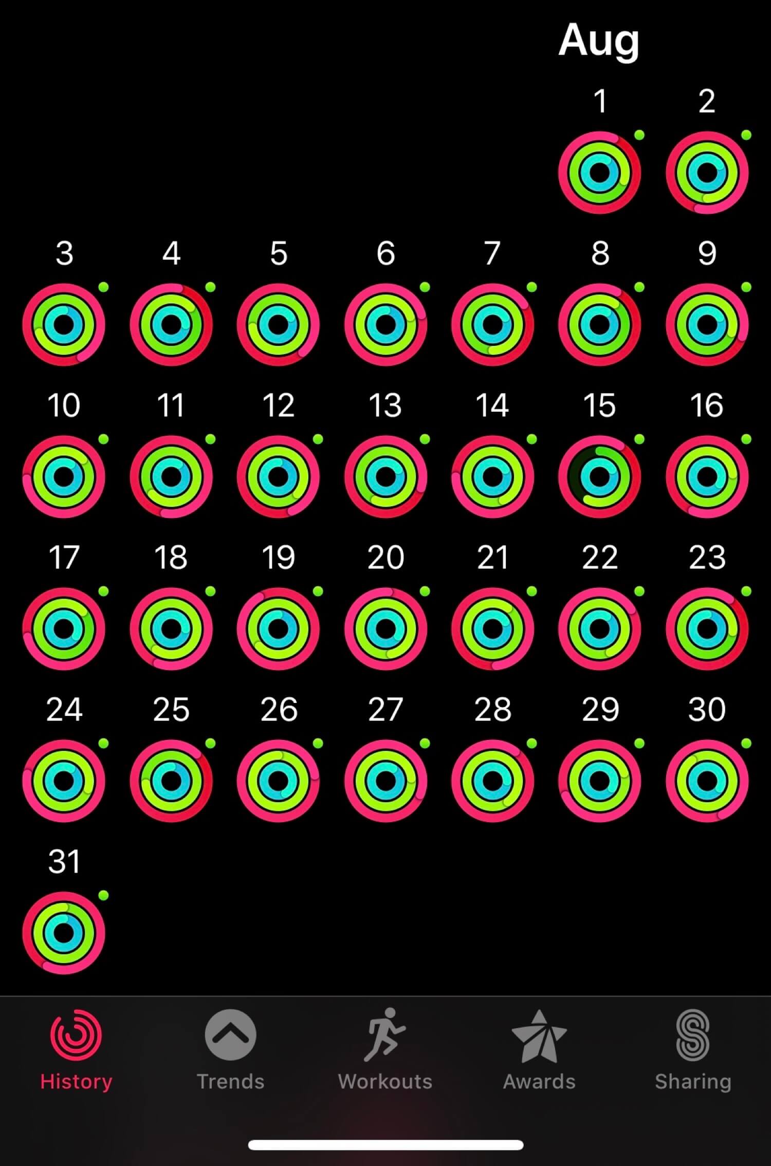 More than a year on the move or how Apple Watch rings help me stay in shape 2