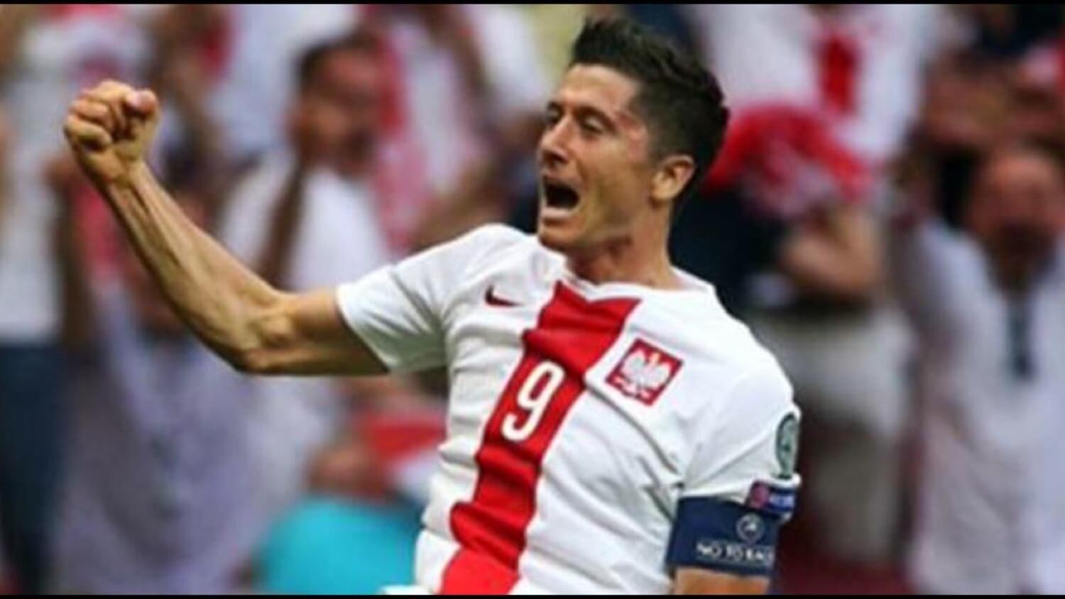 It takes a team to win. How Poland got to Euro 2016 finals